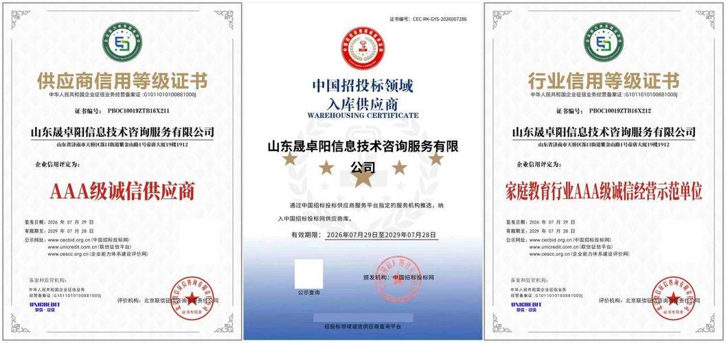 山東晟卓陽信息技術(shù)咨詢服務(wù)斬獲全套AAA資質(zhì) 科學(xué)家庭教育與信息技術(shù)咨詢的完美融合